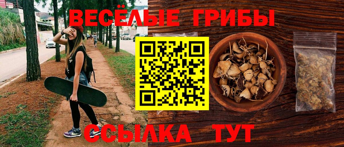 хочу   Вход с VPN  Богородицк  Псилоцибиновые грибы Cubensis 