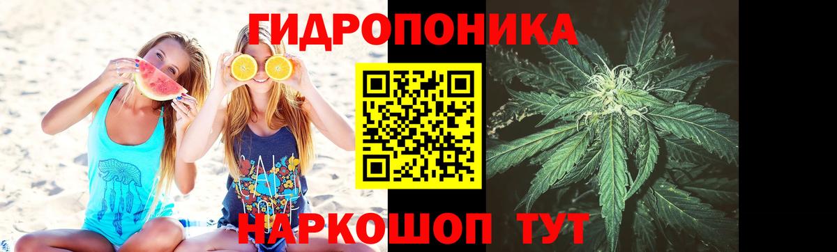 Бошки марихуана тримм  Бошки Шишки OG Kush  Богородицк  Вход с VPN  Марихуана Bruce Banner 